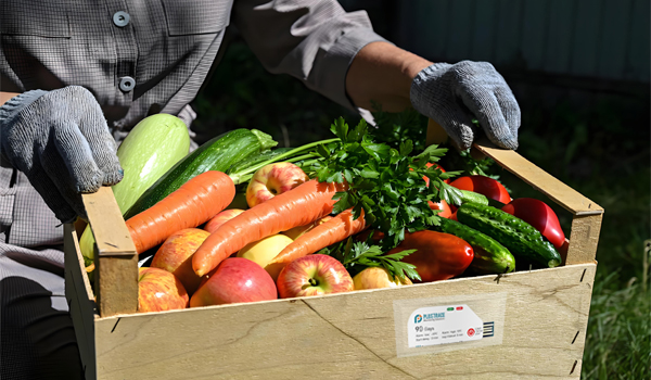 Het belang van temperatuurdataloggers in de koelketenlogistiek