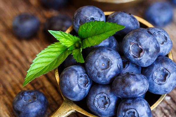 De perfecte Blueberry Transport Partner - Real -time temperatuur- en vochtigheidstracker