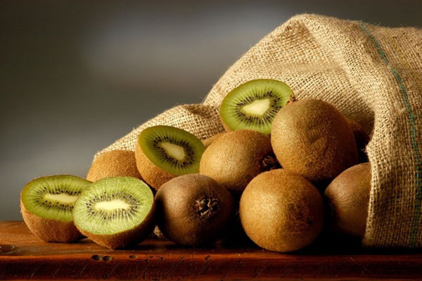 Houd Kiwifruit frisse belangrijke apparatuur - de temperatuurrecorder van de koude keten