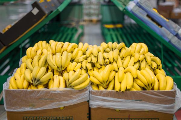 Temperatuurgegevenslogger voor eenmalig gebruik zorgt voor de kwaliteit van fruit