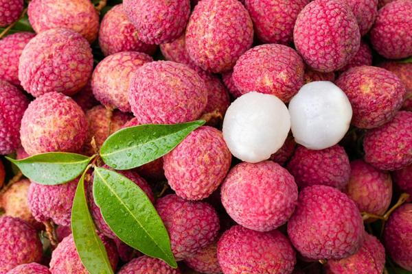 LCD -temperatuur- en vochtrecorder kan het probleem van het litchi -transportverlies verminderen