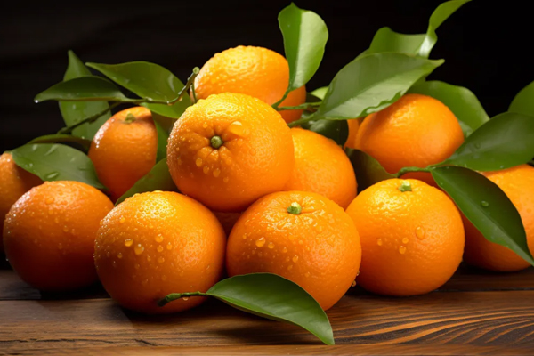 Oranje koelketentransport en wegwerptemperatuurrecorder